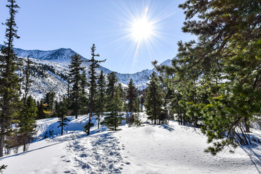 Similar image 22047501