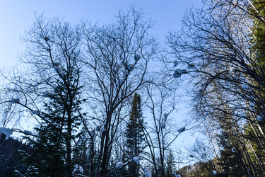 Similar image 22047502