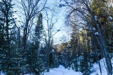 Similar image 22047504