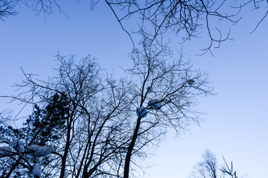 Similar image 22047506