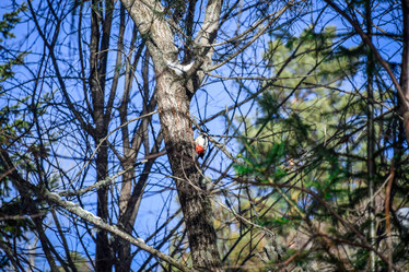 Similar image 22047507