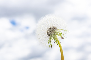 Similar image 22048517