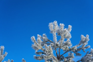 Similar image 22052910