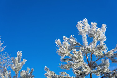 Similar image 22052911