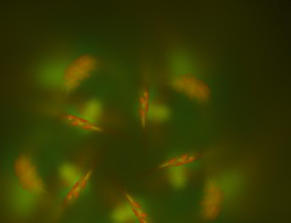 Similar image 22047352