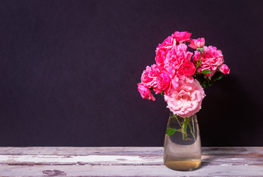 Similar image 22050025