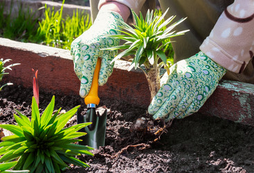 Similar image 22050026