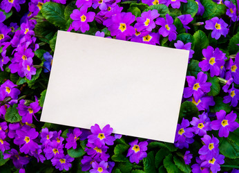 Similar image 22050027