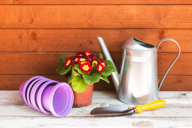 Similar image 22050029