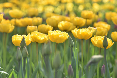 Similar image 22051386