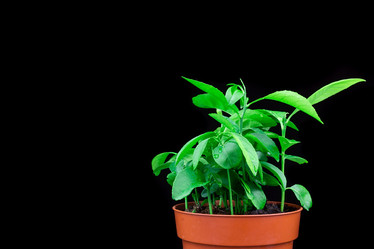 Similar image 22048360