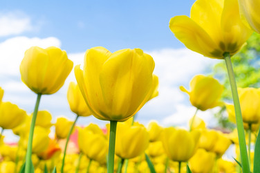 Similar image 22048371