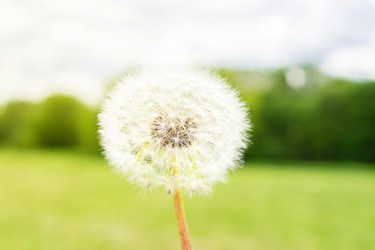 Similar image 22048374