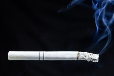 Similar image 22048509