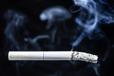 Similar image 22048510