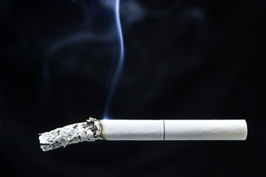 Similar image 22048514