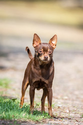 Similar image 22048531