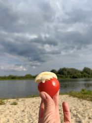 Similar image 22048936