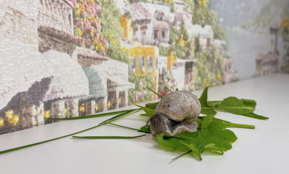 Similar image 22048937