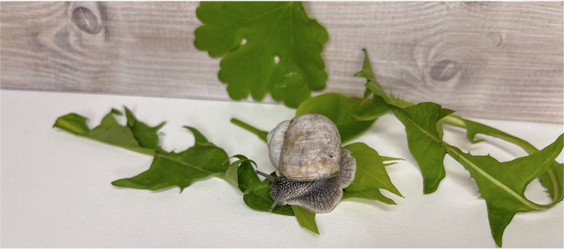 Similar image 22048940