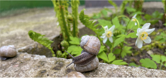 Similar image 22049692