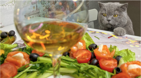 Similar image 22049693