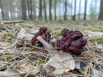 Similar image 22049696