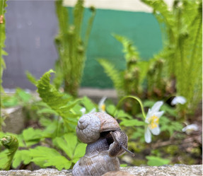 Similar image 22049697