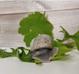 Similar image 22048950