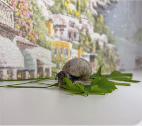 Similar image 22048958