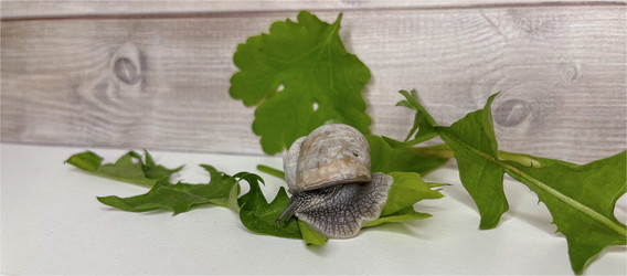 Similar image 22048963