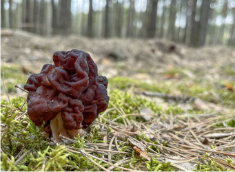 Similar image 22048965