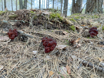 Similar image 22048969