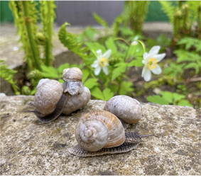 Similar image 22048970