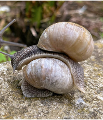 Similar image 22048978