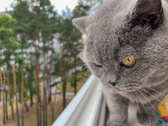 Similar image 22048982