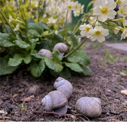 Similar image 22048991