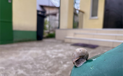 Similar image 22048993