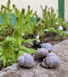 Similar image 22048996