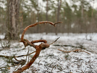 Similar image 22048998