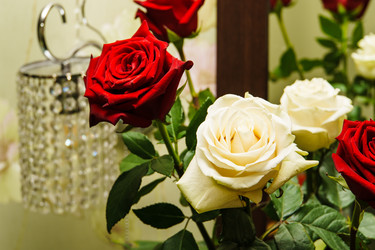 Similar image 22052804