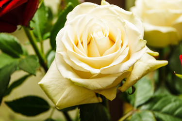 Similar image 22052805