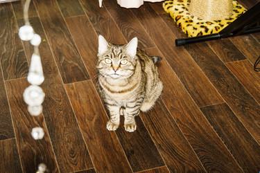 Similar image 22052808