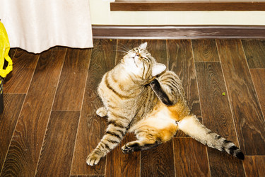 Similar image 22052809