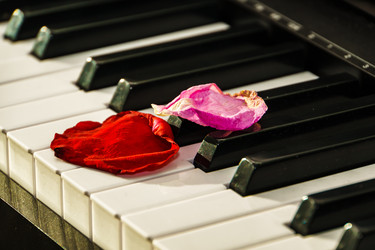 Similar image 22052810