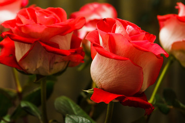 Similar image 22052812