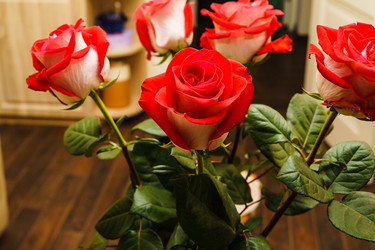 Similar image 22056068