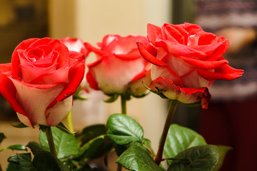 Similar image 22056069