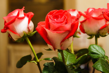 Similar image 22056070