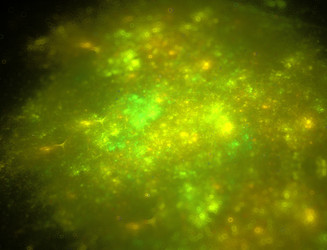 Similar image 22047423